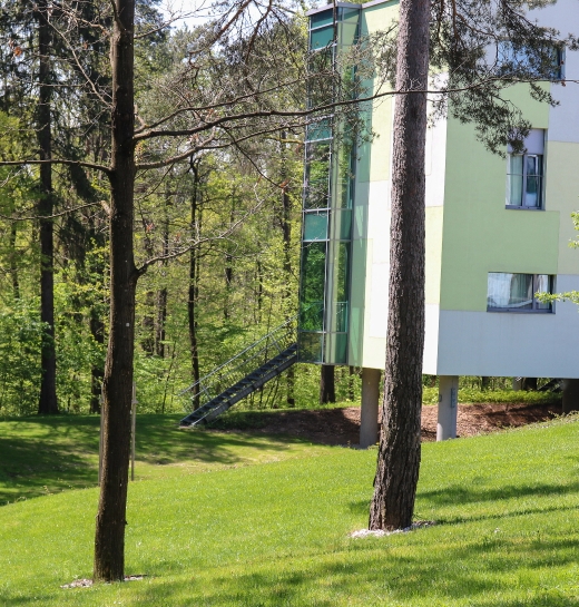 Espace vert